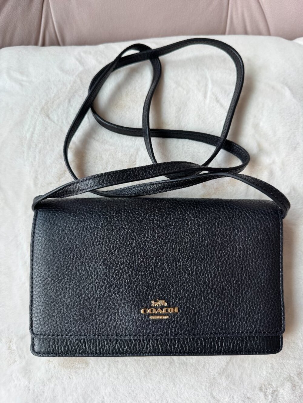 Coach Hayden Foldover Crossbody Clutch (F30256)